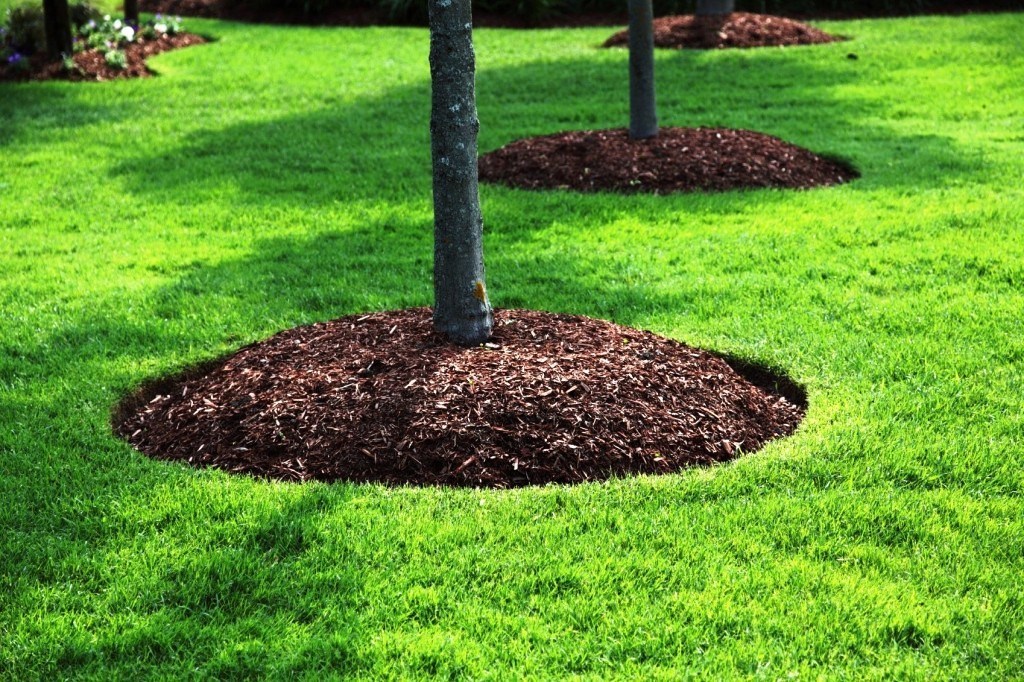 What Does a Sulfur Treatment Do for Your Lawn?